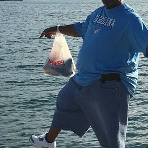 Meet your Posher, Donald